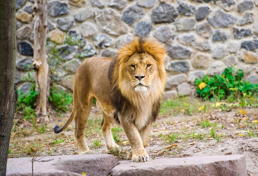 Zoo Atlanta