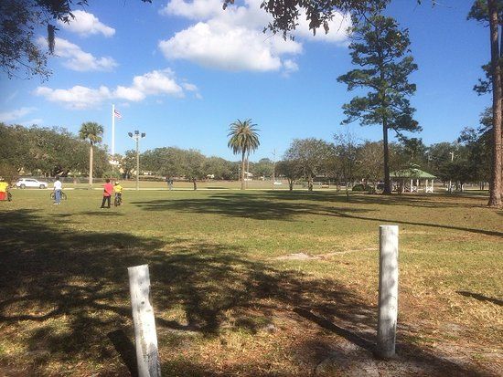 Central Park Area