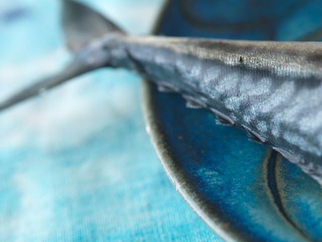 Blue Water Cafe
