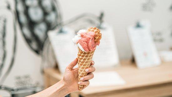 Savini Gelato