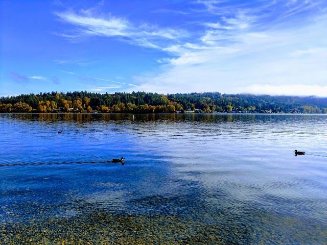 Idylwood Park