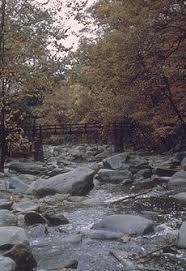 Rock Creek