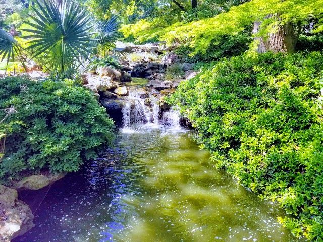 Japanese Garden