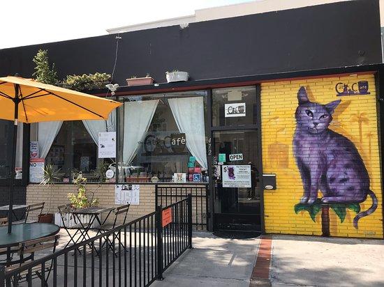 The Cat Cafe