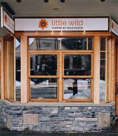 Little Wild