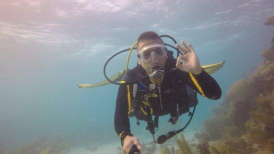 Dive Key West
