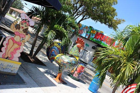 Luxury Tours Miami