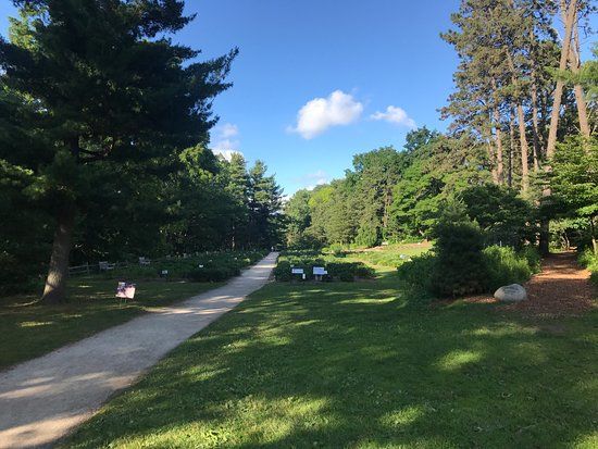 Nichols Arboretum
