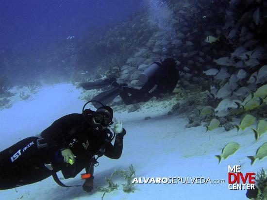 ME Dive Center