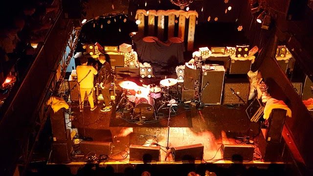 Chameleon Club