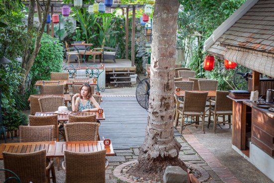 Coconut Garden