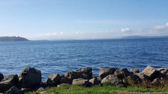 Myrtle Edwards Park