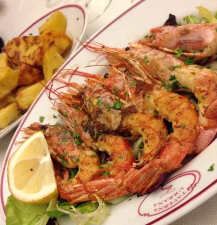 Taverna Urbana