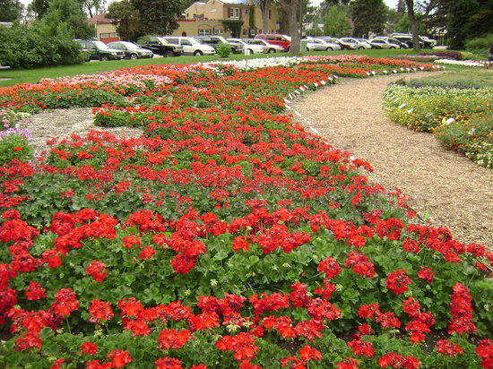 Annual Flower Trial Garden