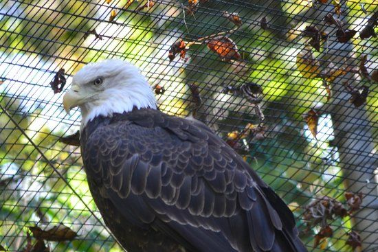 Brandywine Zoo