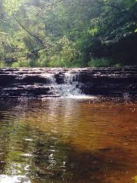 Baird Creek Trail